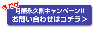 今だけ永久割キャンペーン！お問い合わせはこちら